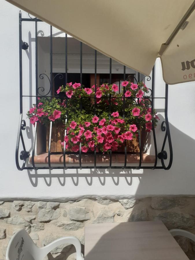 Casa Blanca Bed & Breakfast Castell De Castells Dış mekan fotoğraf